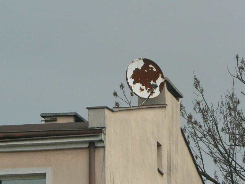 ../images/dish.jpg