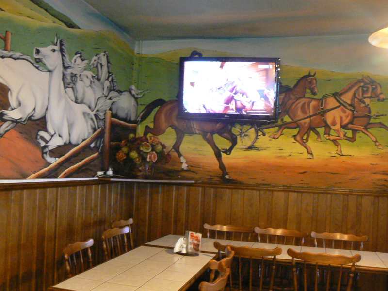 ../images/horse1.jpg